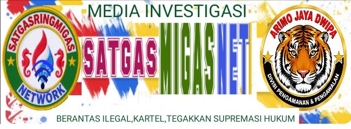 satgasringmigasnetwork.com